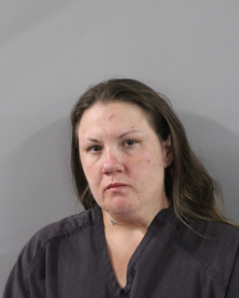 Mugshot of ROBIN LINDSEY SEARS