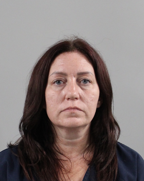 Mugshot of LISA JANE DAVIS
