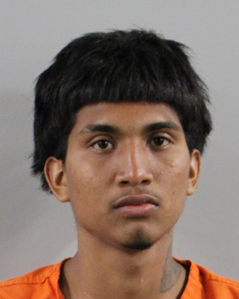 Mugshot of DARINEL ULLOA CAMILO