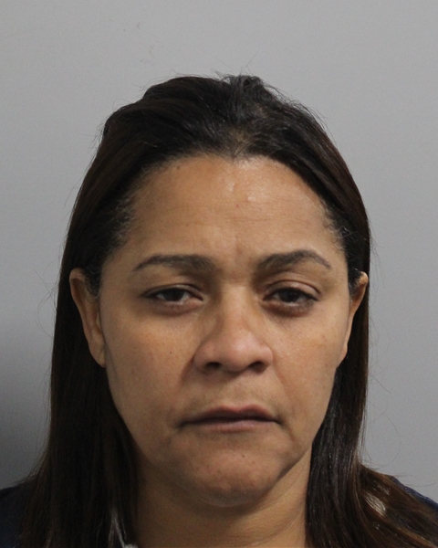 Mugshot of ELAINE ANDREINA CEBALLOS-AYBAR