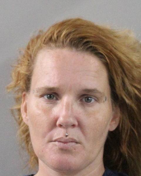 Mugshot of TINA LEWIS