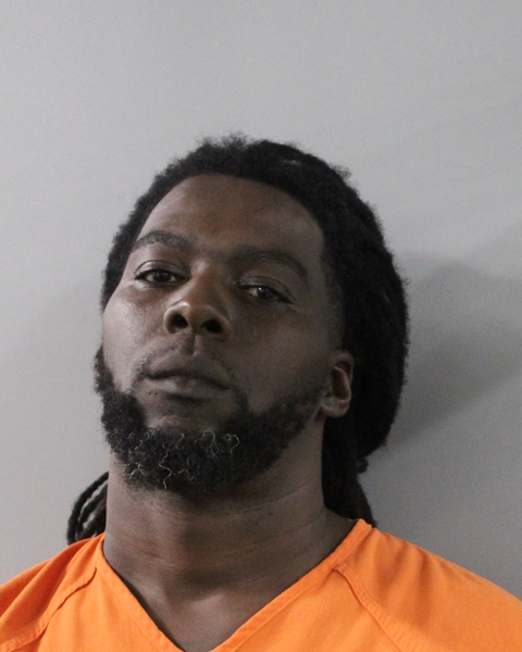Mugshot of DAVID LEE ROBINSON