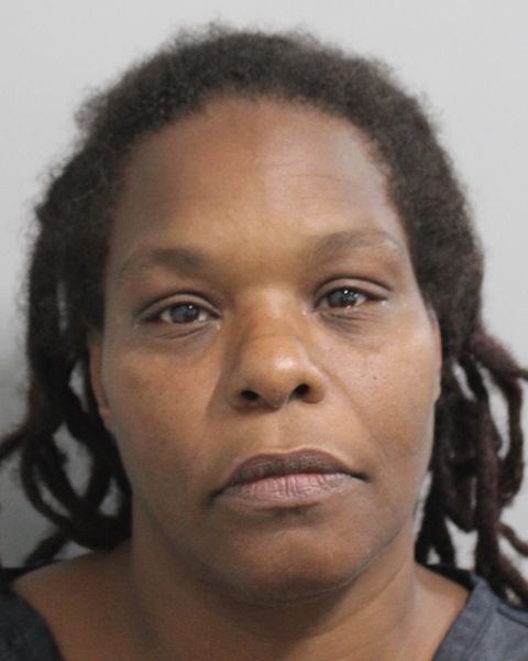 Mugshot of TOMEKA LASAWN THOMAS