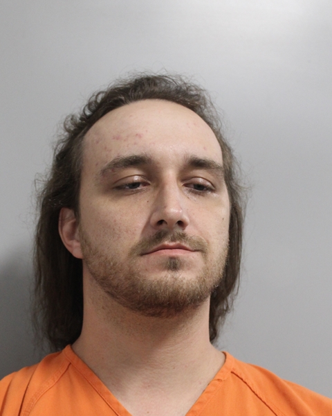 Mugshot of TREVOR JAMES ROELS