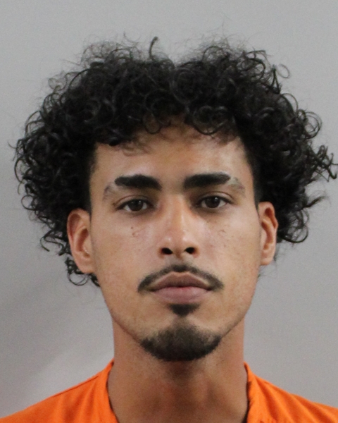 Mugshot of LUIS DANIEL ALVARADO