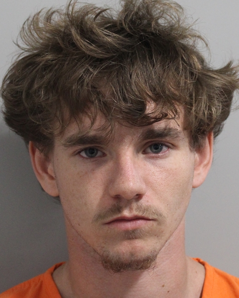 Mugshot of MILES BROWN