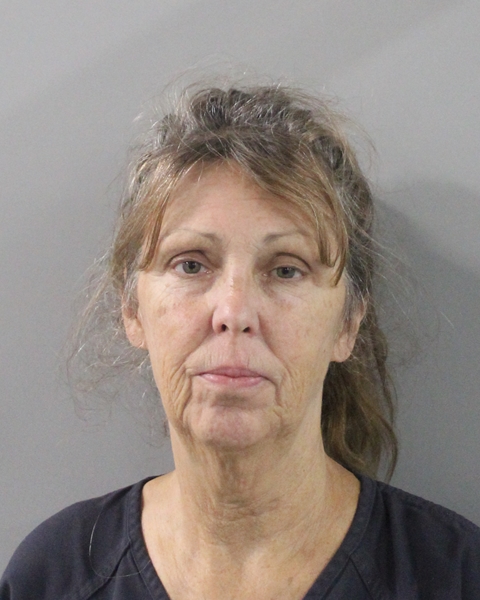 Mugshot of ZABRINA LYNN DUNN