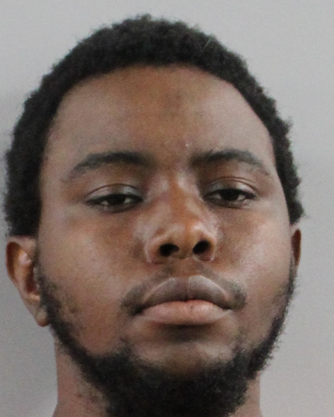 Mugshot of DRU LUDARELL FIELDS