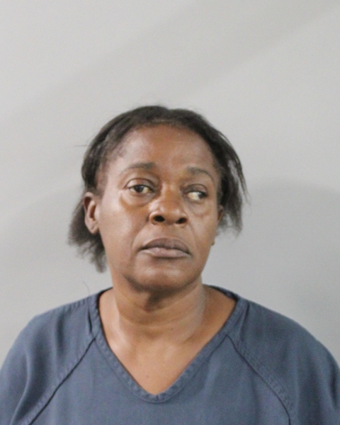 Mugshot of BRETTA LASHONE KENDALL