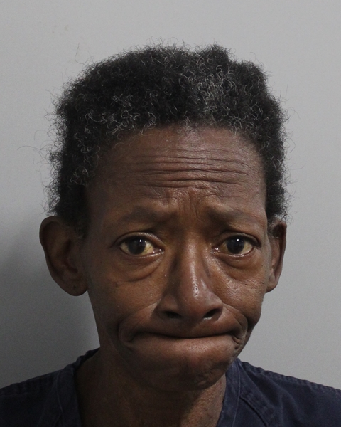 Mugshot of LUVENIA THOMAS