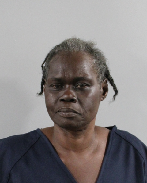Mugshot of ROSA INGRAM