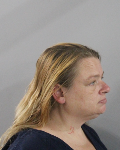 Mugshot of SAUNDRA LYNN BOUNCE