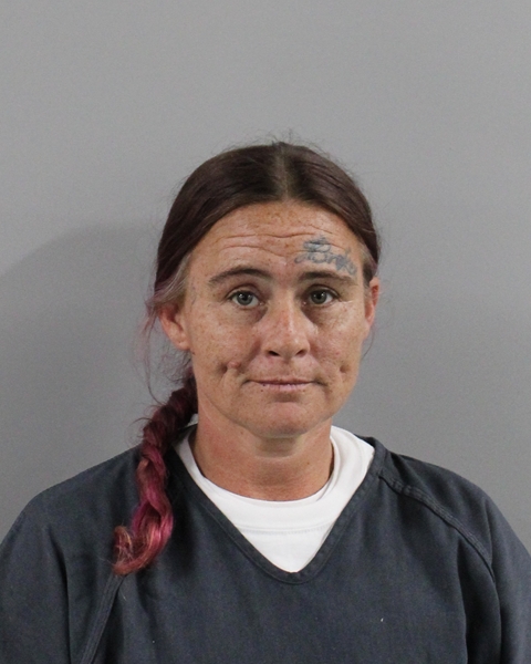 Mugshot of STEPHANIE M BUTTS
