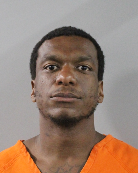 Mugshot of DANEILL LEFORD BROWN