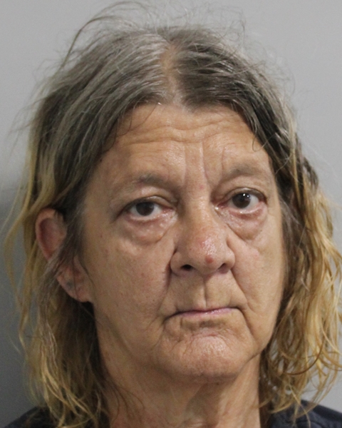 Mugshot of DEEDRA ELLIOTT MCCLELLAND