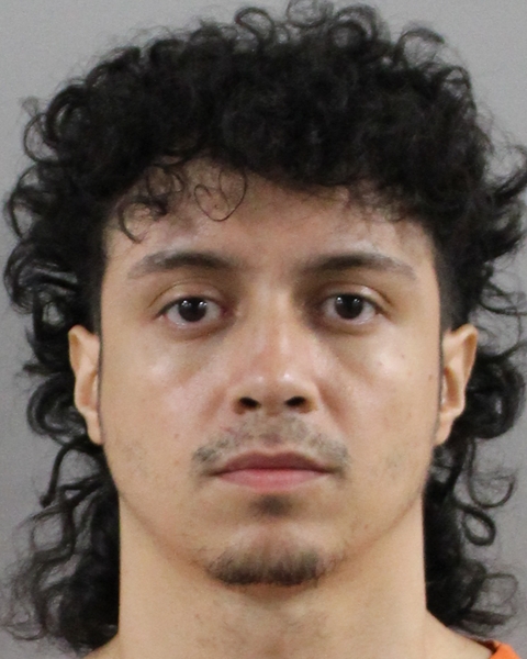 Mugshot of ABED TORRES RIVERA