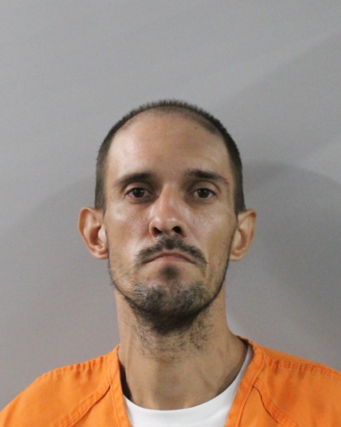 Mugshot of MICHAEL ROSS MINOT
