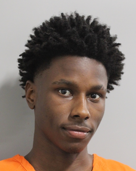 Mugshot of DRELIN JOHNSON