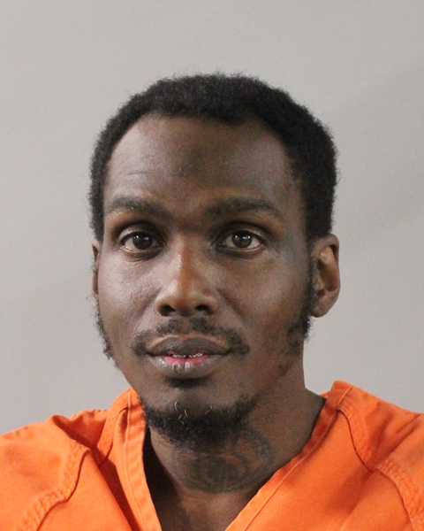 Mugshot of FREDDY NICOLAS