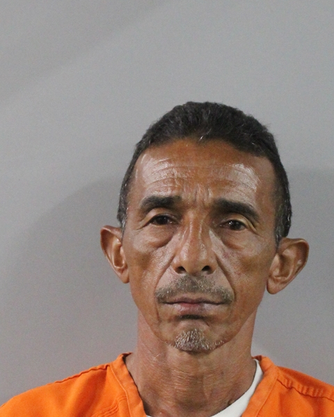 Mugshot of ROBERTO ALBERTO GONZALEZ GONZALEZ