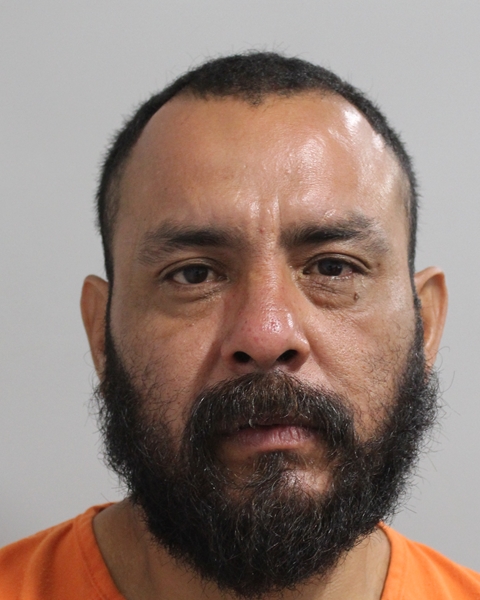 Mugshot of GUADALUPE REYES