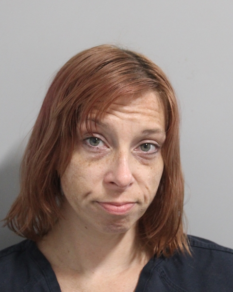 Mugshot of REBECCA LYNN RIGGS