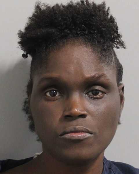 Mugshot of DARLENE MARIA YOUNG