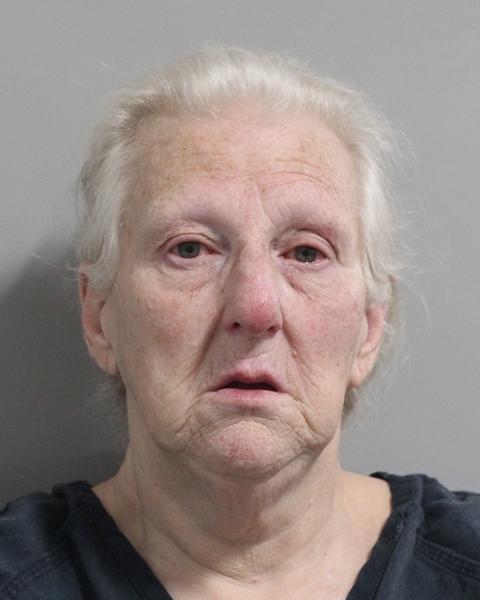 Mugshot of MARIA A CONVIS