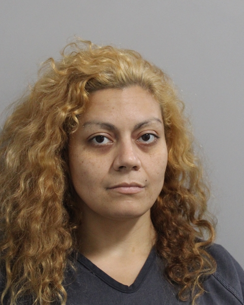 Mugshot of KRYSTAL MARIE REYES