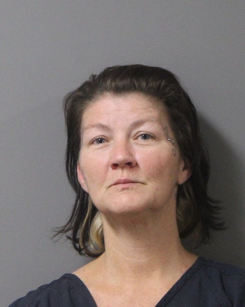 Mugshot of CHRISTINA N CLEMENS