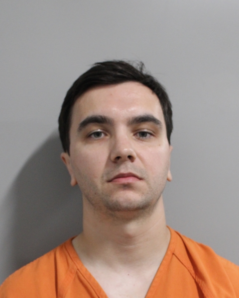 Mugshot of VLADISLAV BYSTROV