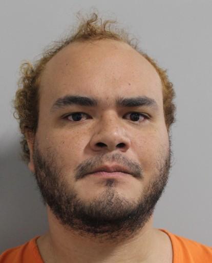 Mugshot of LUIS GUILLERMO COLINA
