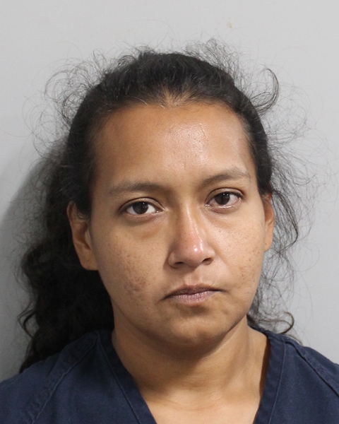 Mugshot of CORINA MARIE BEJAR