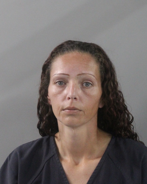 Mugshot of MEGAN LYNN BARNETT