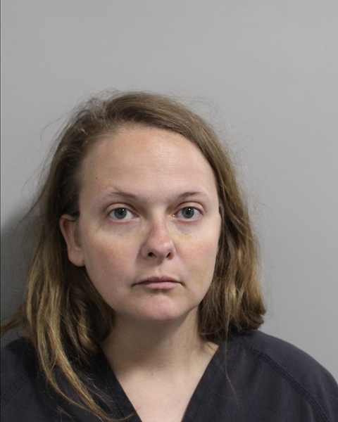 Mugshot of ASHLEY ALBIN