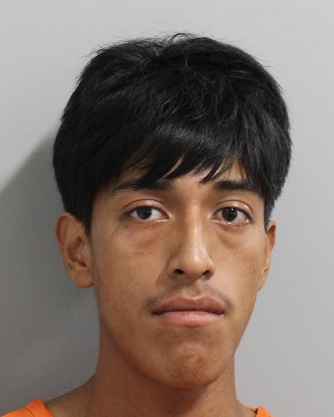 Mugshot of GERBER ALEXANDER BAMACA PEREZ