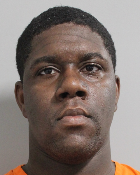 Mugshot of MARTY BROWN