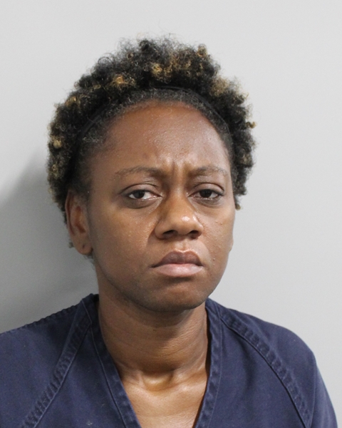 Mugshot of AMBRIANNA SHANTE DINKS