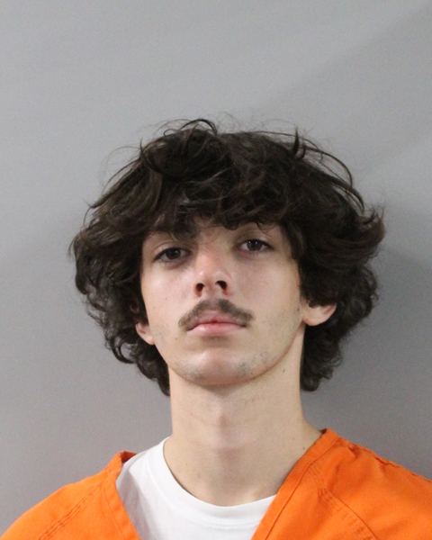 Mugshot of LOGAN DALE ADAMS