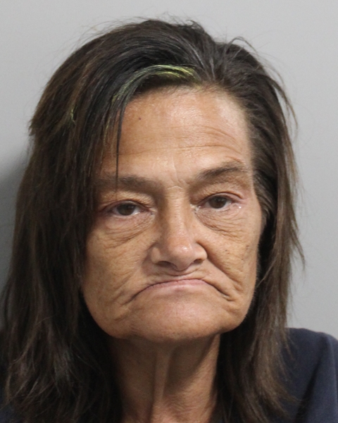 Mugshot of MELODY COLE BRILLHART