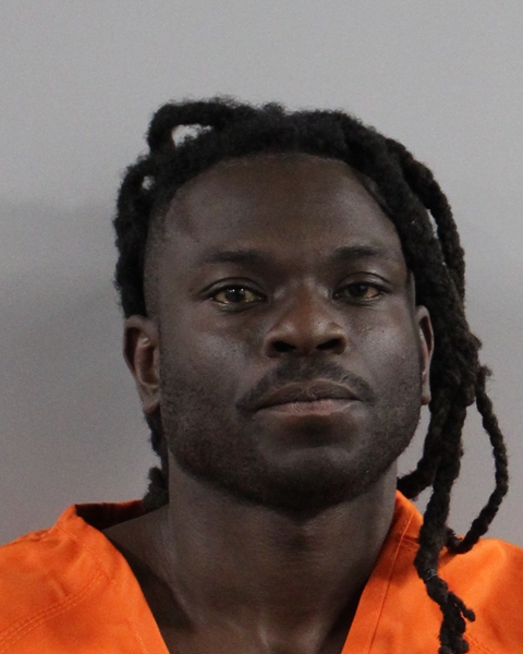 Mugshot of DAMION DEHANEY