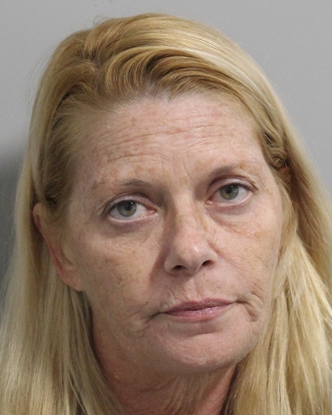 Mugshot of DAWN MARIE BEACH