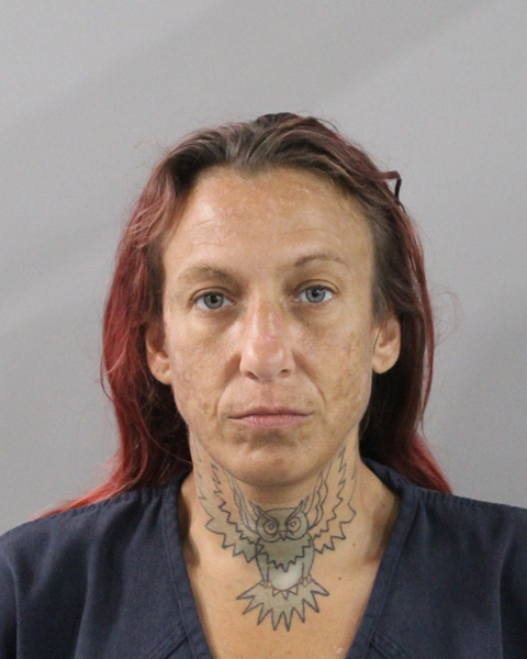 Mugshot of RACHEL LYNNE YATES