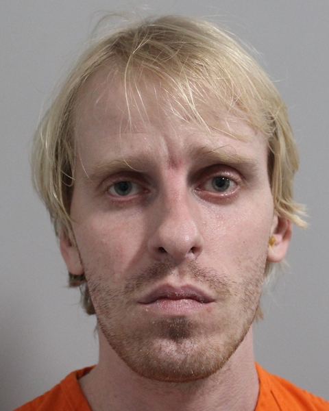 Mugshot of ALEXANDER VICTOROVICH WATSON