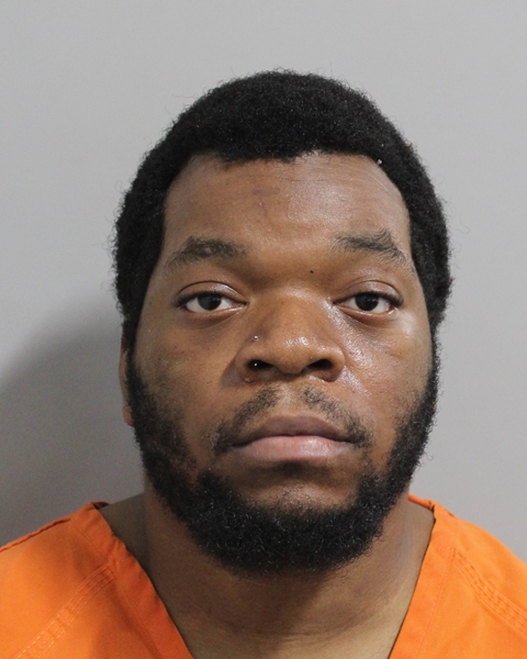 Mugshot of LOUIS RAYMOND
