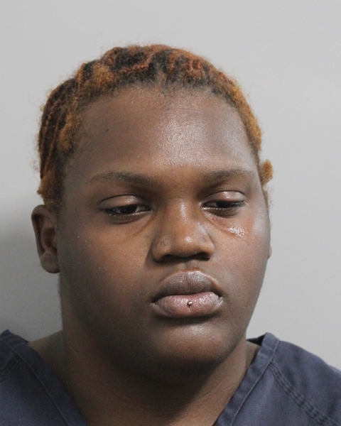 Mugshot of BEASIA VILLA JACINTHE