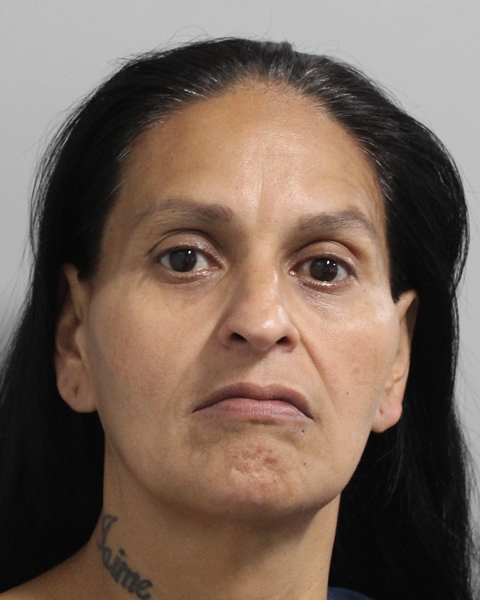Mugshot of JOVITA IDALIA CASTILLO