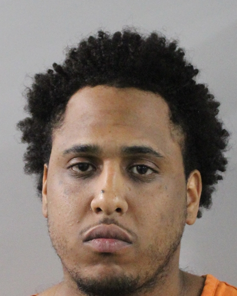 Mugshot of NELSON ANEUOY ALVAREZ