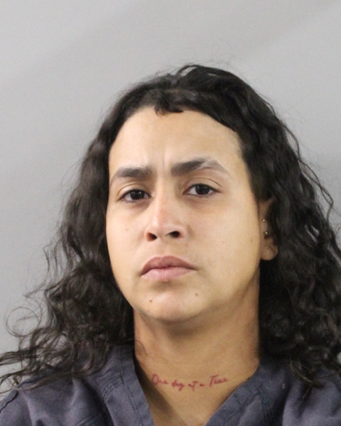 Mugshot of AYSHA LEE MINAYA PEREZ
