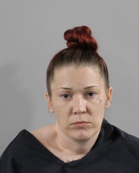 Mugshot of VICTORIA LYNN DZIEDZIC